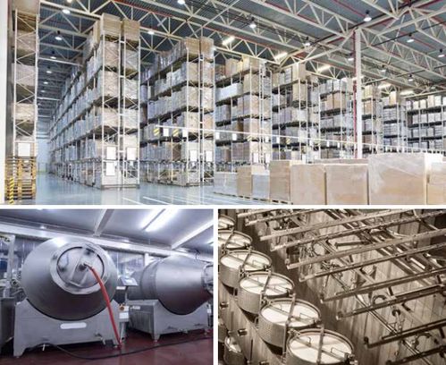 因為這個小東西，我被辦公室的美女們圍了一上午